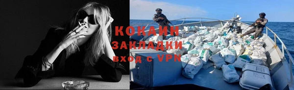 ПСИЛОЦИБИНОВЫЕ ГРИБЫ Гусиноозёрск