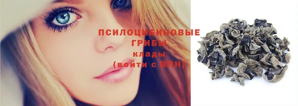 ПСИЛОЦИБИНОВЫЕ ГРИБЫ Гусиноозёрск