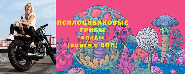 ПСИЛОЦИБИНОВЫЕ ГРИБЫ Гусиноозёрск